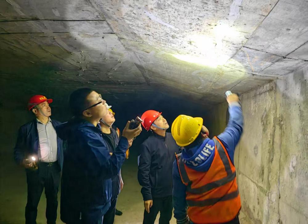 d5c9fe42469ff29309ffed89224c0243