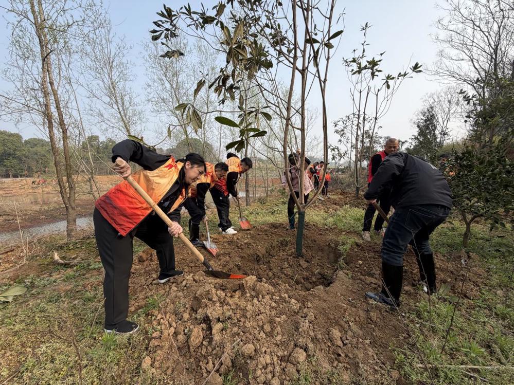 9656420e1504d0eecb251a48dcbc8423